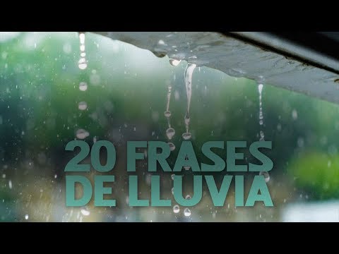 20 Frases de Lluvia ☔️ | Un fenómeno meteorológico muy simbólico