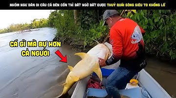 Ngư Dân Đi Câu Cá Bên Cồn Thì Bất Ngờ Bắt Được Thuỷ Quái Sông Siêu To Khổng Lồ | Review bắt hải sản