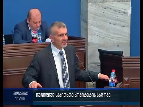 კანონპროექტი „ამნისტიის შესახებ“, ცვლილებები სამოქალაქო და საარჩევნო კოდექსებში