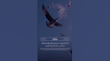 تلاوة من سورة "النور"/القارئ عبدالله الموسى 💚