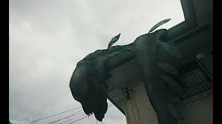 Unnerving images with music 3