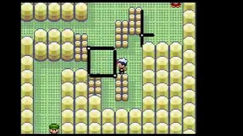 Pokemon Ruby The Playthrough Part 26