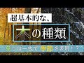 超基本的な木の種類！葉っぱだけで季節も表現できる！