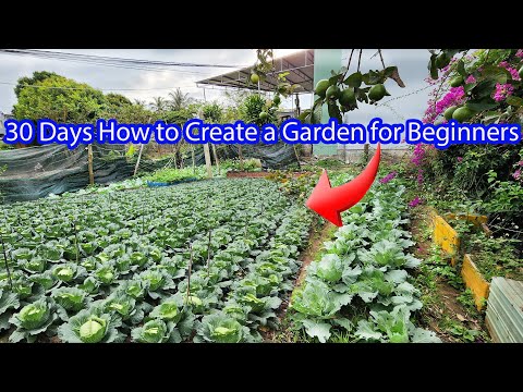 30 Days How to Create a Garden for Beginners 30 Days How to Create a Garden for Beginners
