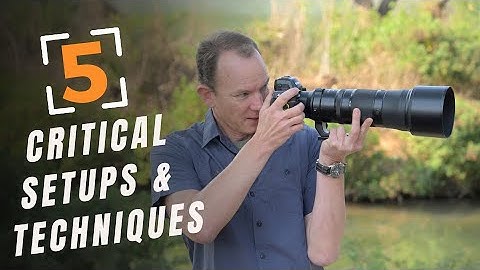 5 Critical Setups and Techniques for Wildlife Photography