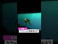 クラッシュは英語話せる？#クラッシュ #ディズニー #タートルトーク