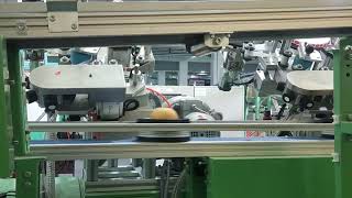 High speed fruit surface Sticker labeling machine solution