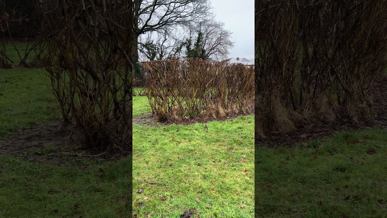 Winter Holding Its Breath