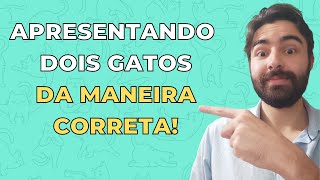 COMO FAZER A INTRODUÇÃO DE DOIS GATOS DA MANEIRA CORRETA?