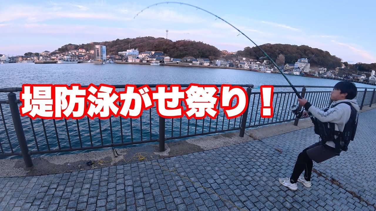 【泳がせ 爆釣】巨大魚が回遊する堤防で夕マヅメに怒涛の6連発！！