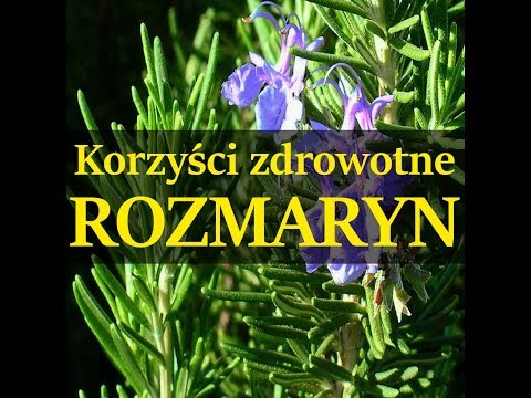 Wideo: Korzyści Z Rozmarynu