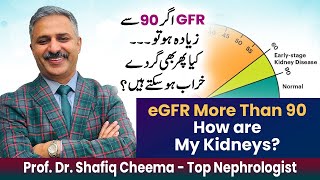 Egfr More Than 90 - What Should I Do ? Stage 1 Ckd