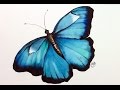 Watercolor Butterfly REAL TIME Painting Demonstration