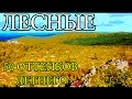 СЕВЕРНЫЙ УРАЛ | NORTH URALS