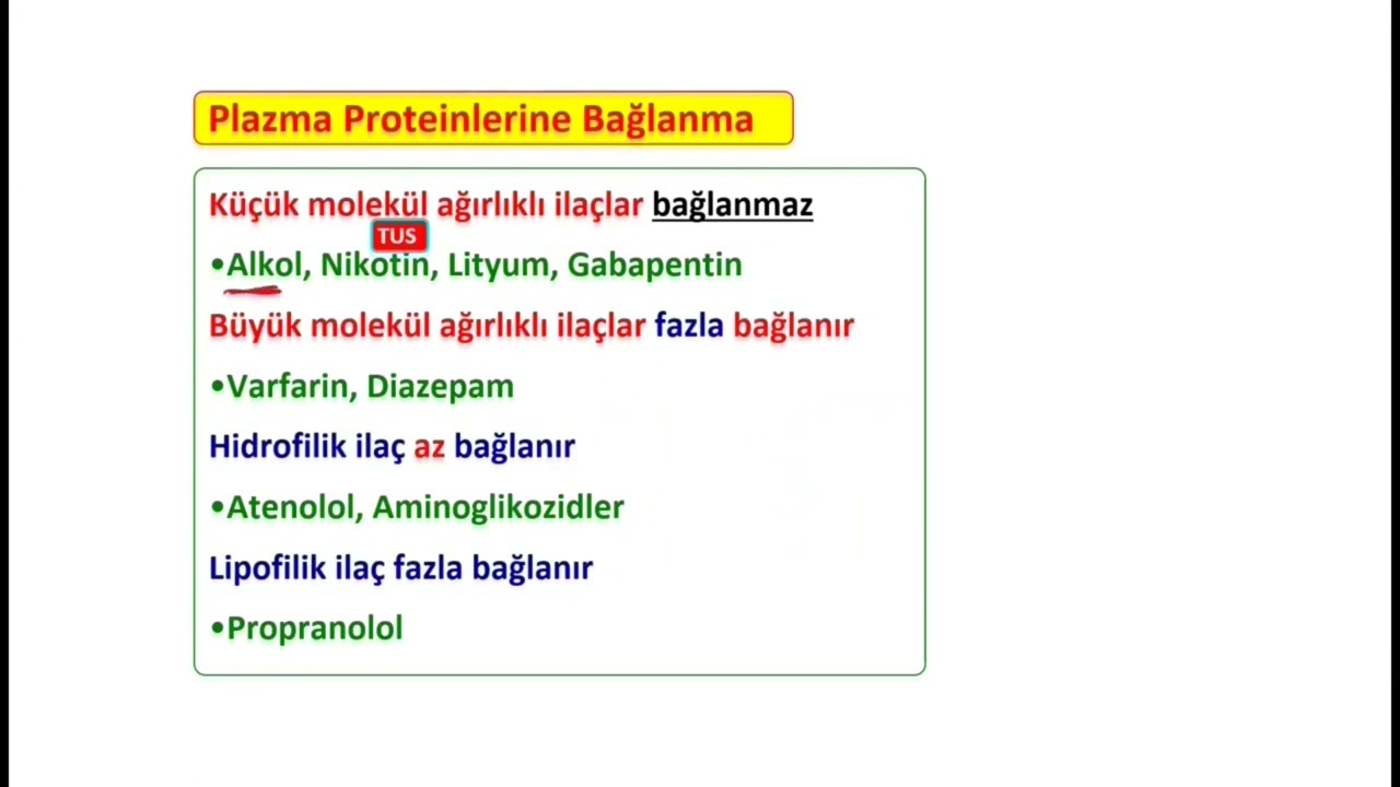 Proteinlere bağlanma