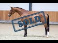 (SOLD) Damasco schooling