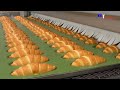 Amazing bread processing factory you have to see  skills fast workers in food processing line