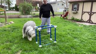 IMG 3281