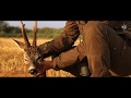 Roe Buck Hunting in Poland  - 750 grams gold medal roe buck.