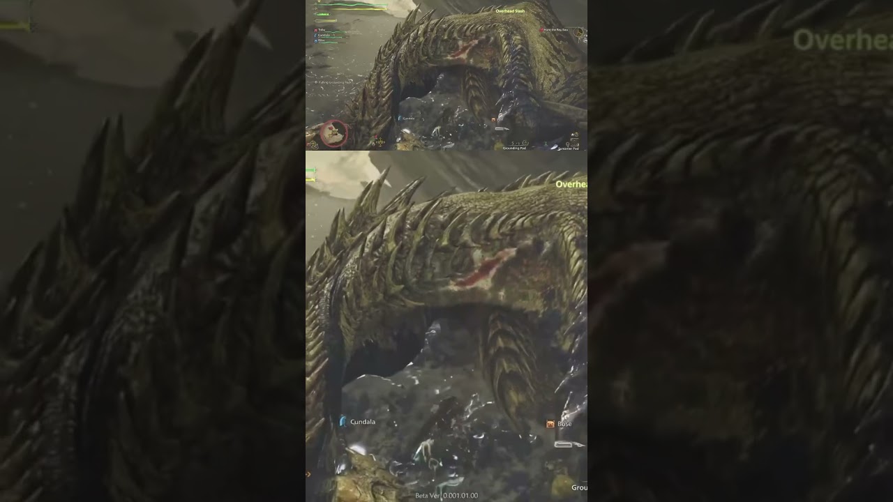 Monster Hunter Wilds - strange glitch