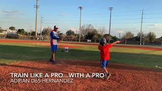 D65 Next Level Baseball Member - Colton, Orlando, Fl