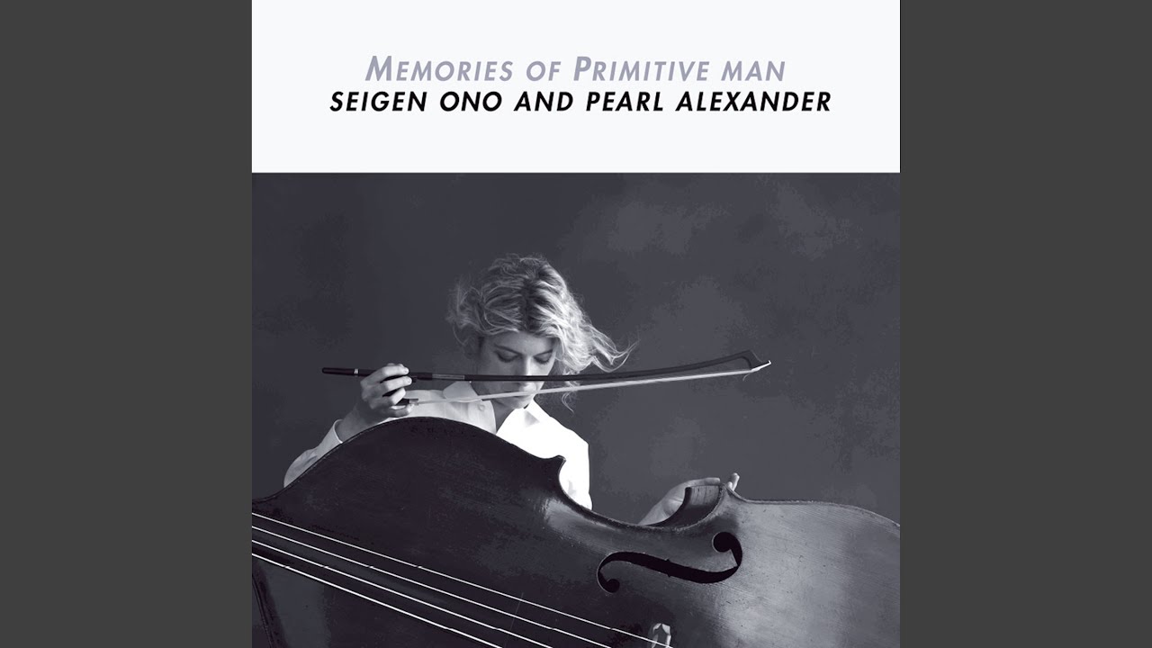 Watch Amazon Rainforest Three on YouTube Watch Amazon Rainforest Three on YouTube