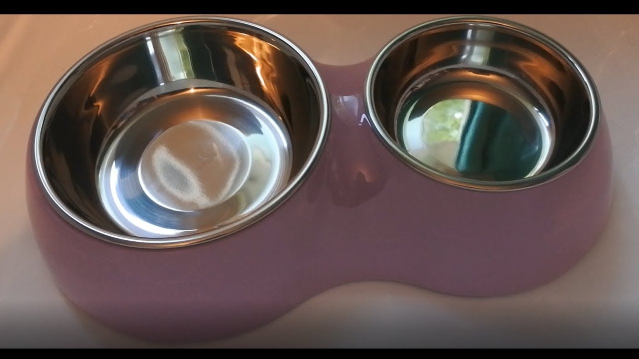 extra large dog pee pads