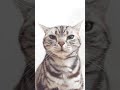 今日のウ○コ