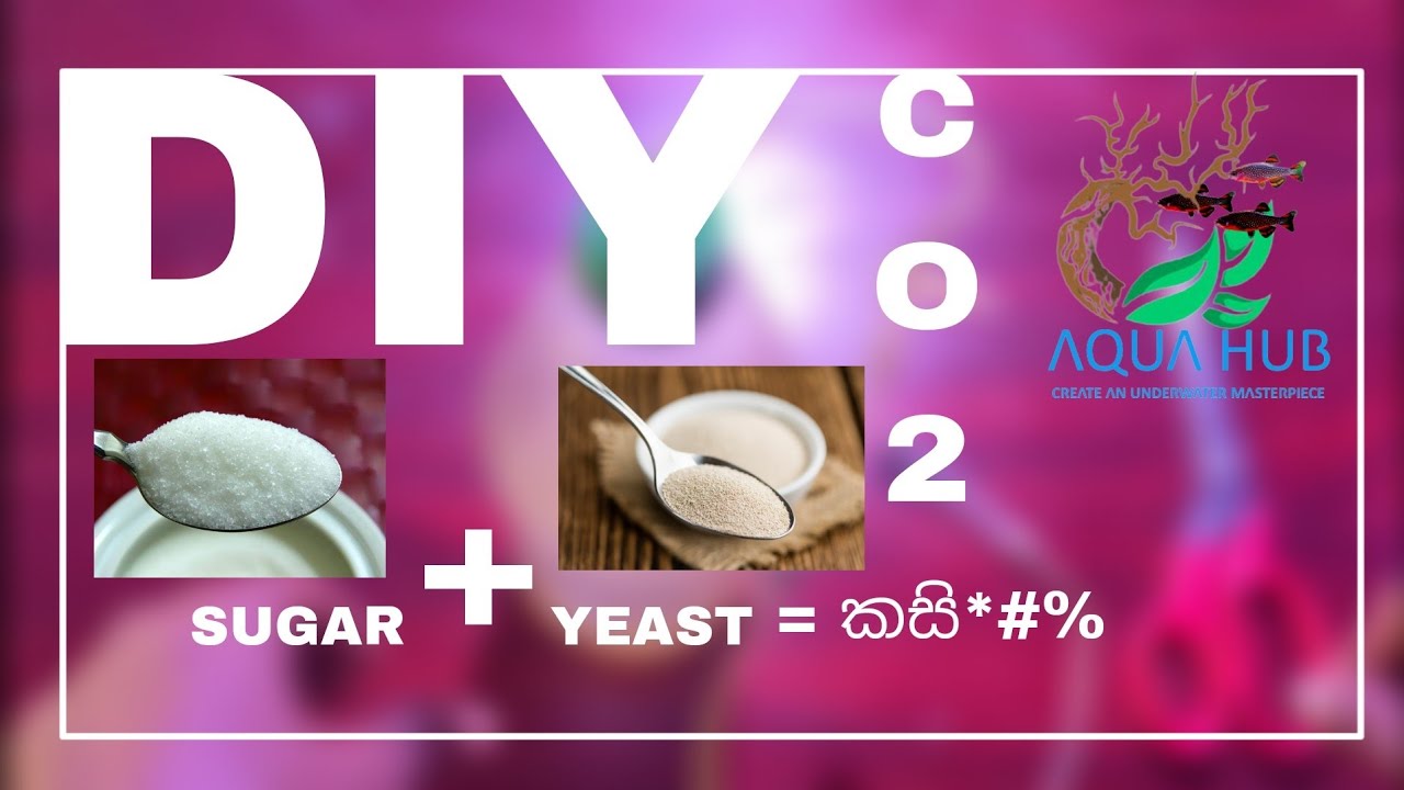 How To Make Co2 For Planted Tank | DIY Co2 | DIY co2 Sugar yeast