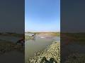 River Canel Cast Net Fishing Time #fishing #reels #viral #castnetfishing #casting #fishingnet