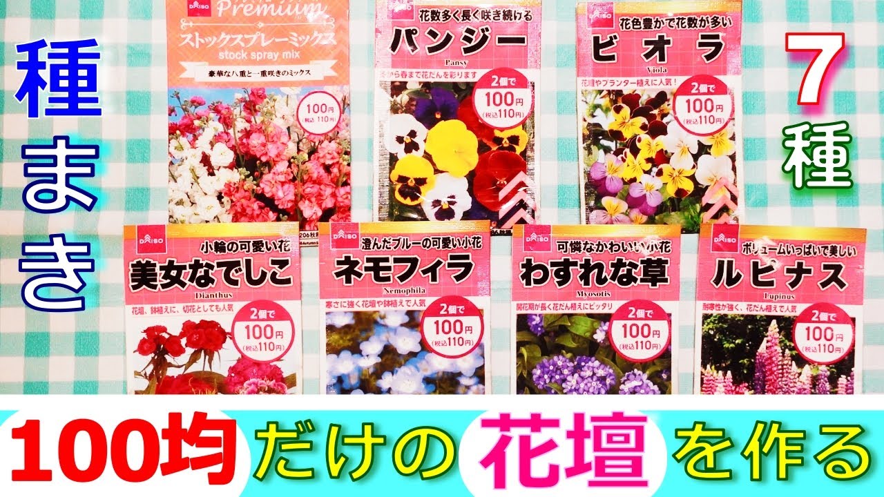 【100均だけの花壇を作る】7種類の花の種まきをして芽も出て植替えをした成長の記録！