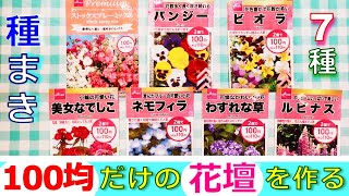 【100均だけの花壇を作る】7種類の花の種まきをして芽も出て植替えをした成長の記録！