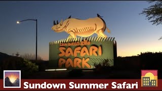 San Diego Zoo Safari Park - Sundown Summer Safari