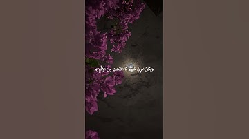 (لَا تَحْسَبُوهُ شَرًّا لَّكُم ۖ ) سورة النور القارئ الشيخ ماهر المعيقلي #ماهر_المعيقلي #تلاوات