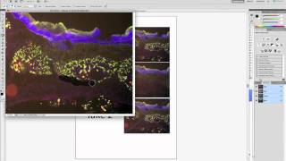 How to fake ihc with Photoshop CS5