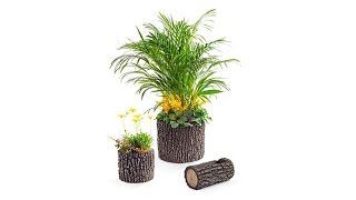 Surreal Oak Planters  Set of 3