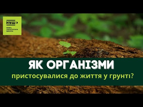 ГРУНТОВЕ СЕРЕДОВИЩЕ ЖИТТЯ. Пристосування організмів до життя у грунті. 5 клас, природознавство