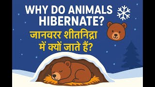 Why Do Some Animals Hibernate – Winter Sleep Explained 🐻❄️