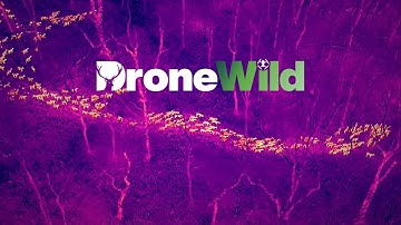 How DroneWild is Revolutionising Wildlife Management & Conservation