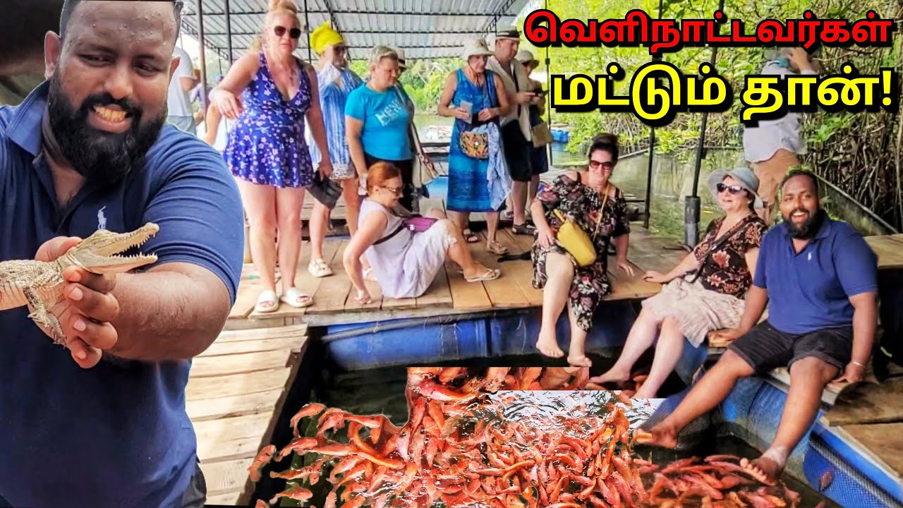 நம்ப முடியவில்லை!😳 இலங்கையாடா இது? All Ceylon Tuk Tuk Travel | Tamil Vlogs | Alasteen Rock