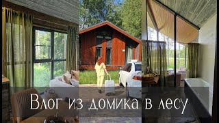 картинка: Уютное летнее видео🌻 3 дня живём в домике в лесу🌳