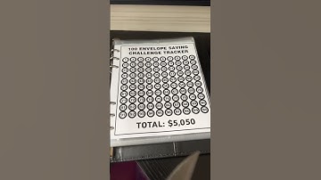 Save $5,050 with the 100 envelope savings challenge