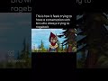 Meme repost