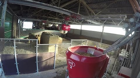 Lely Vector - Automatisch füttern