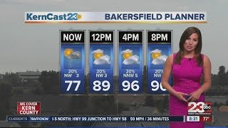 Bakersfield day planner