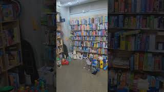 McKays Books and More in Chattanooga, TN