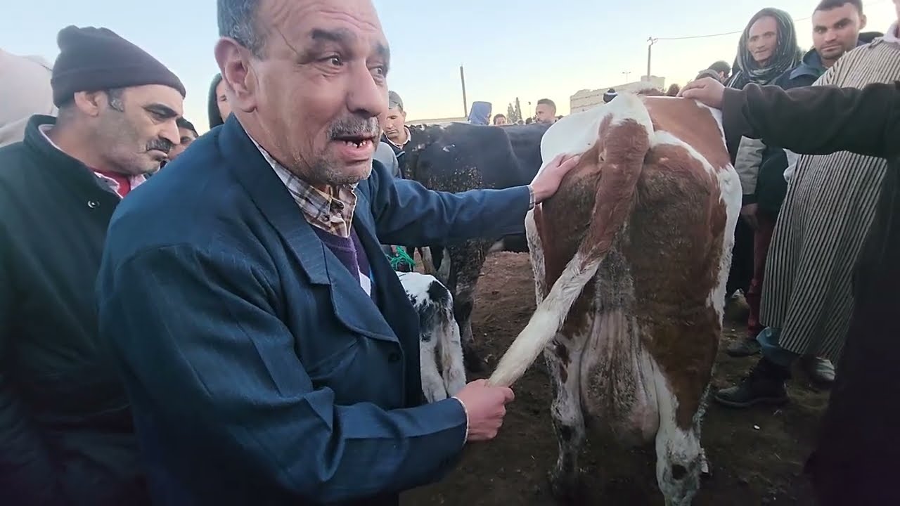 أجبو تشوفو سلعة لي مدخل كاري كاري كاري أدري سوق سبت سطات نشوفو أتمنة بكرات الولادات وضارات وحلبات