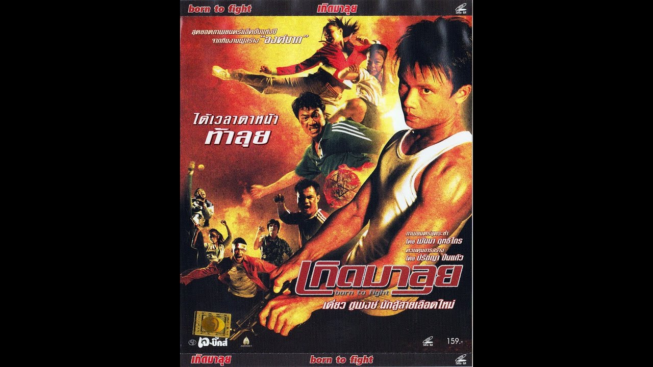 Opening to Born to Fight (Thai Film) 2004 VCD - YouTube