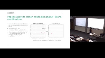 Raising antibody validation standards with knockout technology