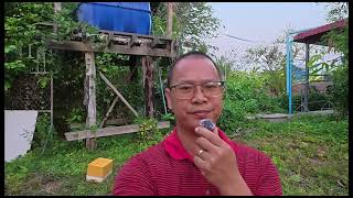 Thaifacation Was Based Off Of Nazsm